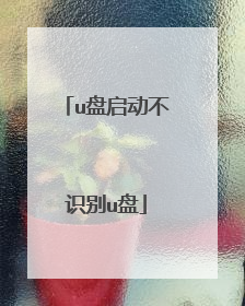 u盘启动不识别u盘