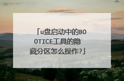 u盘启动中的BOOTICE工具的隐藏分区怎么操作?
