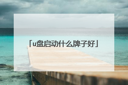 u盘启动什么牌子好