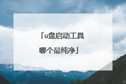 u盘启动工具哪个最纯净