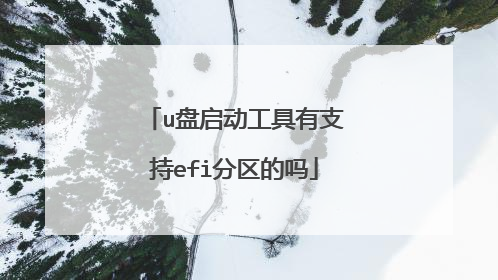 u盘启动工具有支持efi分区的吗