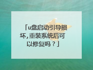 u盘启动引导损坏,重装系统后可以修复吗?