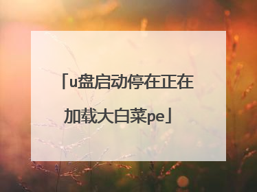 u盘启动停在正在加载大白菜pe