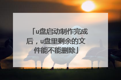 u盘启动制作完成后,u盘里剩余的文件能不能删除