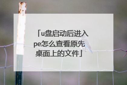 u盘启动后进入pe怎么查看原先桌面上的文件