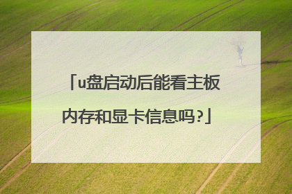 u盘启动后能看主板内存和显卡信息吗?