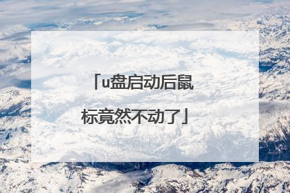 u盘启动后鼠标竟然不动了