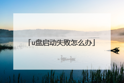 u盘启动失败怎么办
