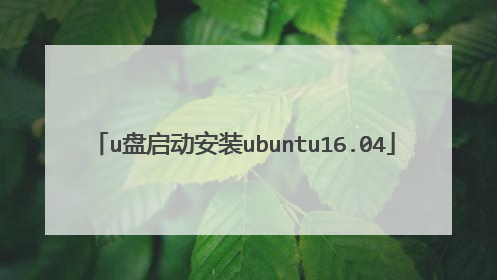 u盘启动安装ubuntu16.04