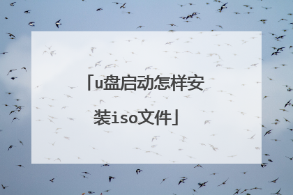 u盘启动怎样安装iso文件