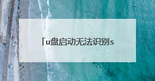 u盘启动无法识别sata硬盘?急!!