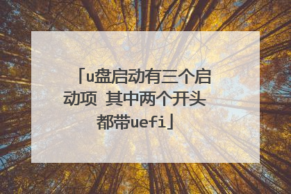 u盘启动有三个启动项 其中两个开头都带uefi