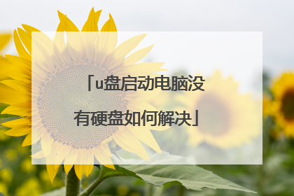 u盘启动电脑没有硬盘如何解决