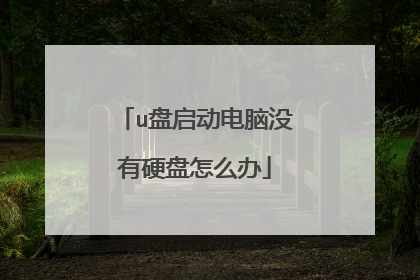 u盘启动电脑没有硬盘怎么办