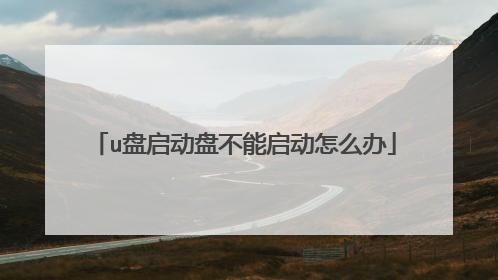 u盘启动盘不能启动怎么办