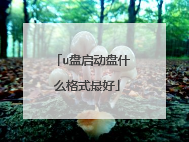 u盘启动盘什么格式最好