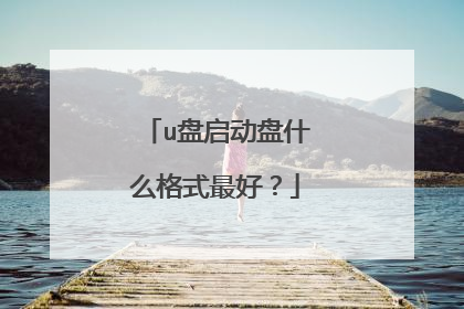 u盘启动盘什么格式最好?