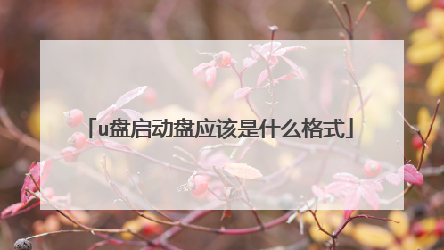 u盘启动盘应该是什么格式