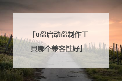 u盘启动盘制作工具哪个兼容性好