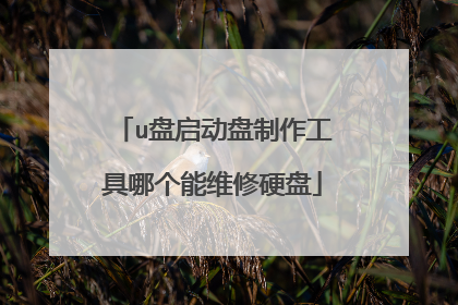 u盘启动盘制作工具哪个能维修硬盘