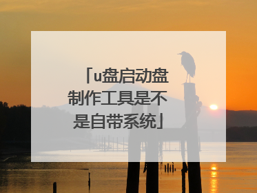 u盘启动盘制作工具是不是自带系统