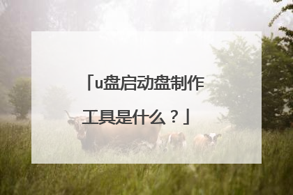 u盘启动盘制作工具是什么？