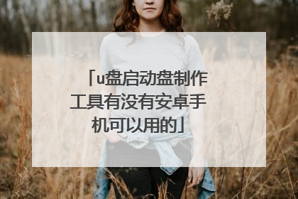 u盘启动盘制作工具有没有安卓手机可以用的