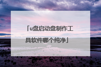 u盘启动盘制作工具软件哪个纯净