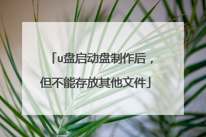 u盘启动盘制作后，但不能存放其他文件