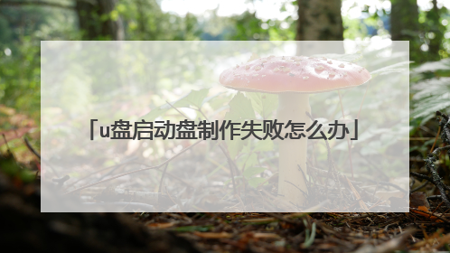 u盘启动盘制作失败怎么办