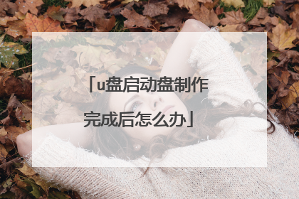 u盘启动盘制作完成后怎么办