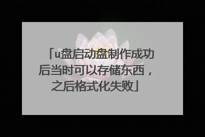u盘启动盘制作成功后当时可以存储东西,之后格式化失败