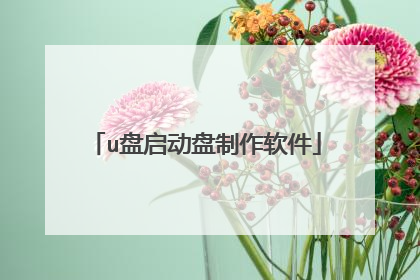 u盘启动盘制作软件