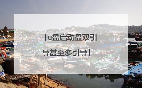 u盘启动盘双引导甚至多引导