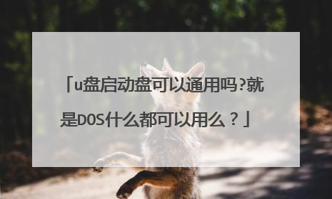 u盘启动盘可以通用吗?就是DOS什么都可以用么?