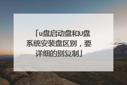 u盘启动盘和U盘系统安装盘区别，要详细的别复制