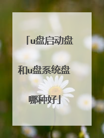 u盘启动盘和u盘系统盘哪种好