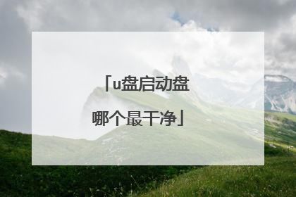 u盘启动盘哪个最干净
