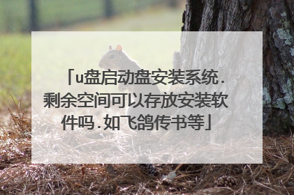 u盘启动盘安装系统.剩余空间可以存放安装软件吗.如飞鸽传书等