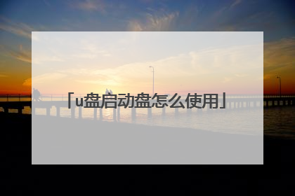 u盘启动盘怎么使用