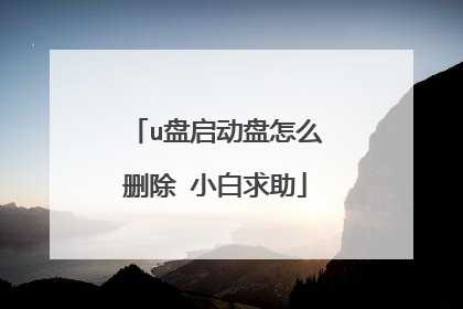 u盘启动盘怎么删除 小白求助