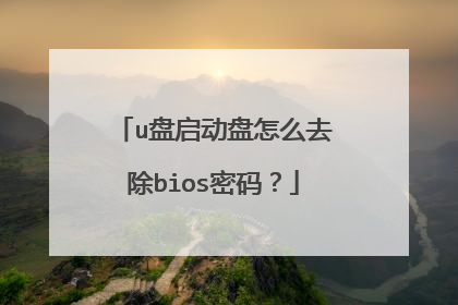 u盘启动盘怎么去除bios密码?