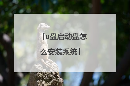 u盘启动盘怎么安装系统