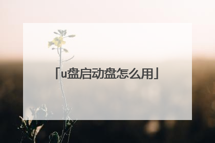 u盘启动盘怎么用