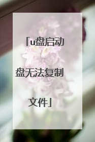 u盘启动盘无法复制文件