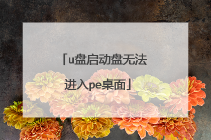 u盘启动盘无法进入pe桌面