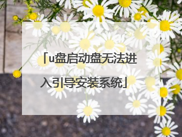 u盘启动盘无法进入引导安装系统