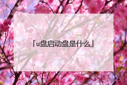 u盘启动盘是什么