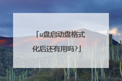 u盘启动盘格式化后还有用吗?