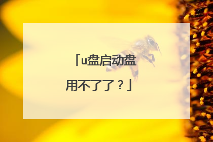 u盘启动盘用不了了?